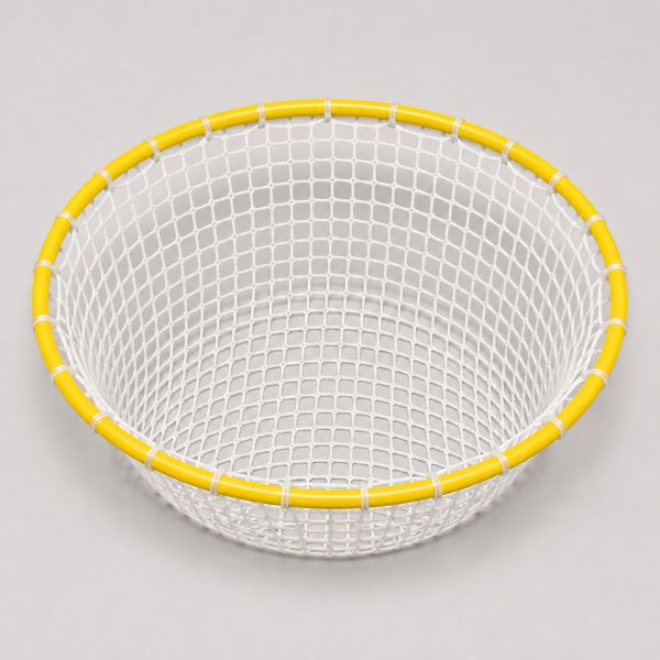 Training Hoop with Net hoop-with-net